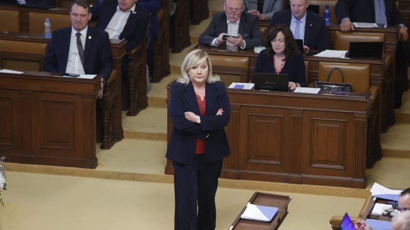 Jak makají poslanci? Někteří mlčí a nepředloží jediný zákon, docházka Babiše je stále nevalná Jak makají poslanci? Někteří mlčí a nepředloží jediný zákon, docházka Babiše je stále nevalná