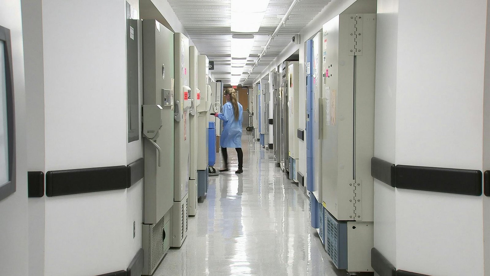 V súvislosti s čiernym kašľom v Česku zomreli ďalší dvaja nakazení. Silná epidémia už má osem obetí V súvislosti s čiernym kašľom v Česku zomreli ďalší dvaja nakazení. Silná epidémia už má osem obetí