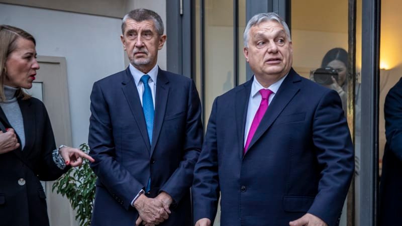 Babišovi Patrioti mají novou posilu. Frakci posílí španělská krajně pravicová strana Vox Babišovi Patrioti mají novou posilu. Frakci posílí španělská krajně pravicová strana Vox