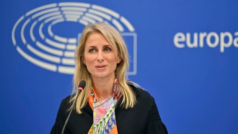 Bývalé tváře ANO hodnotí Babišův debakl v Bruselu: Budou mít plamenné projevy, vliv žádný Bývalé tváře ANO hodnotí Babišův debakl v Bruselu: Budou mít plamenné projevy, vliv žádný