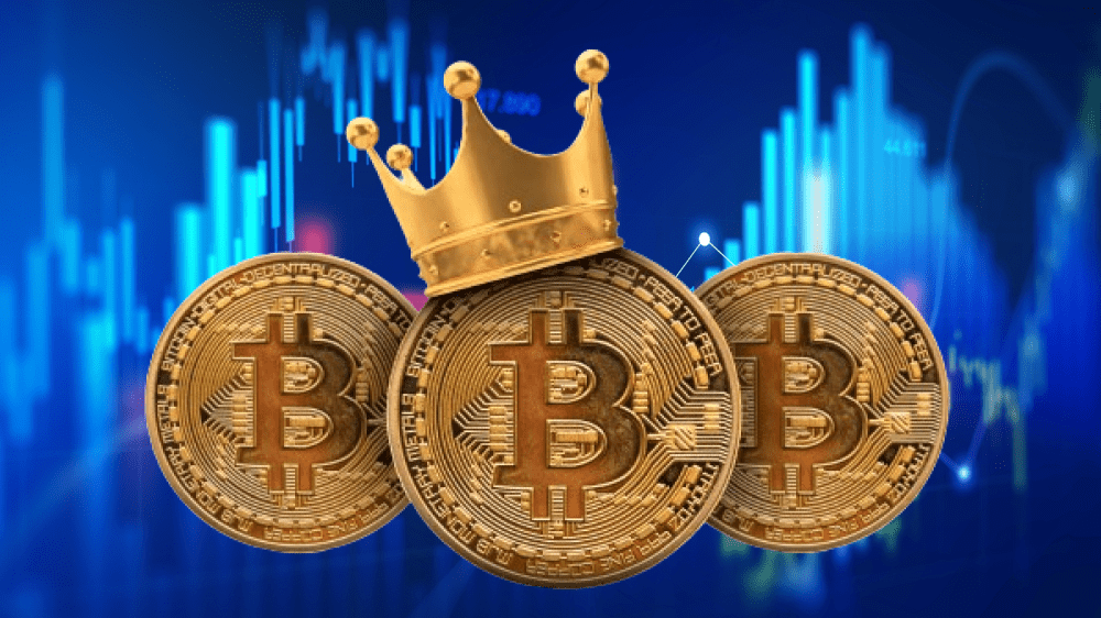 Prečo žiadna iná kryptomena neprekonala a neprekoná Bitcoin?