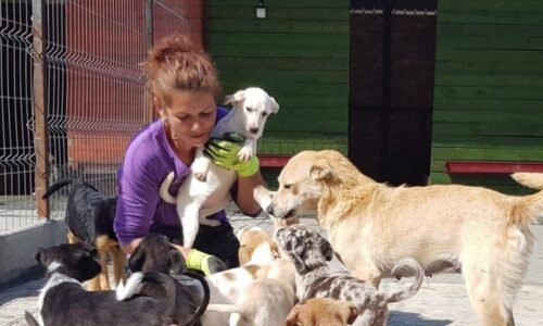 Laura s manželem zachraňují psy. Zasáhla je ale zákeřná nemoc a pomoc teď potřebují oni