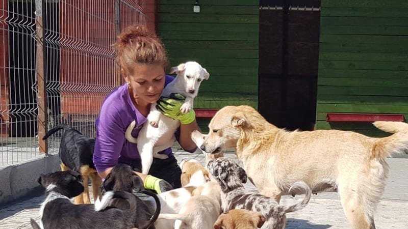 Laura s manželem zachraňují psy. Zasáhla je ale zákeřná nemoc a pomoc teď potřebují oni Laura s manželem zachraňují psy. Zasáhla je ale zákeřná nemoc a pomoc teď potřebují oni