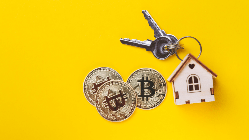 Prieskum: Kryptomeny ako investícia predbehli akcie aj nehnuteľnosti Prieskum: Kryptomeny ako investícia predbehli akcie aj nehnuteľnosti