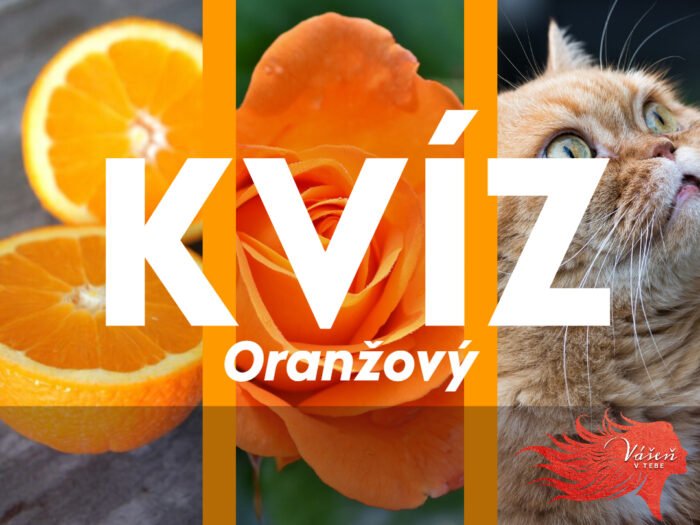 Čertovsky ťažký oranžový všeobecný vedomostný kvíz. Rýchlych 6 otázok, ale skóre 4/6 je neprekonateľné Čertovsky ťažký oranžový všeobecný vedomostný kvíz. Rýchlych 6 otázok, ale skóre 4/6 je neprekonateľné