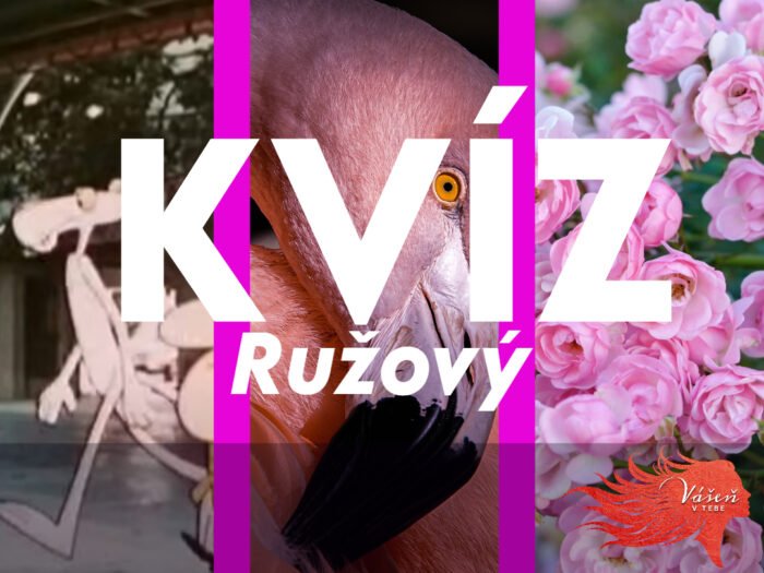 Ružový všeobecný vedomostný kvíz nie je náročný, no málokto ho zvládne. Prijmete výzvu? Ružový všeobecný vedomostný kvíz nie je náročný, no málokto ho zvládne. Prijmete výzvu?