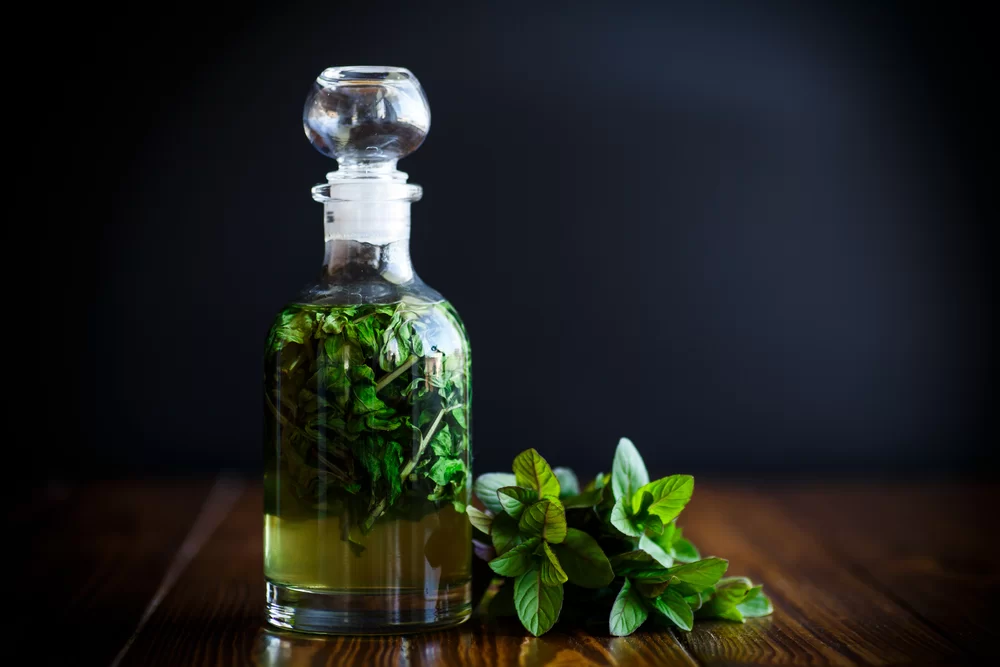 Domáci mätový sirup – ako na jeho prípravu? Domáci mätový sirup – ako na jeho prípravu?