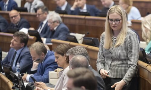 SaS v parlamente navrhuje, aby detskí pacienti mali právo na sprevádzajúcu osobu