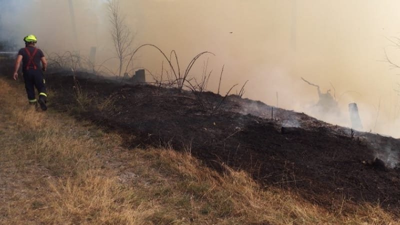 Plameny zachvátily les na Svitavsku. Požár se rychle šíří, do akce vzlétl vrtulník Black Hawk Plameny zachvátily les na Svitavsku. Požár se rychle šíří, do akce vzlétl vrtulník Black Hawk