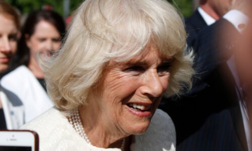 Takto sa v skutočnosti správa kráľovná Camilla. Známy herec prezrádza. „Prišla celá v bielom“