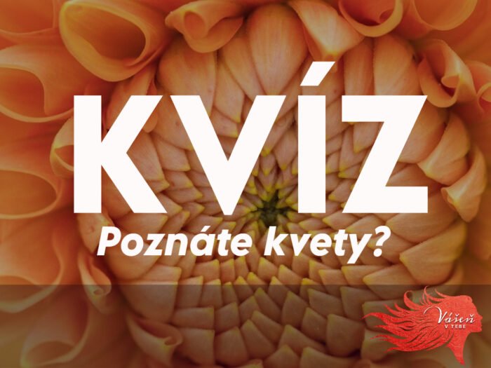 Myslíte si, že tieto kvety na fotkách poznáte? Vedomosti a bystrý zrak sa vám v tomto kvíze budú hodiť! Myslíte si, že tieto kvety na fotkách poznáte? Vedomosti a bystrý zrak sa vám v tomto kvíze budú hodiť!