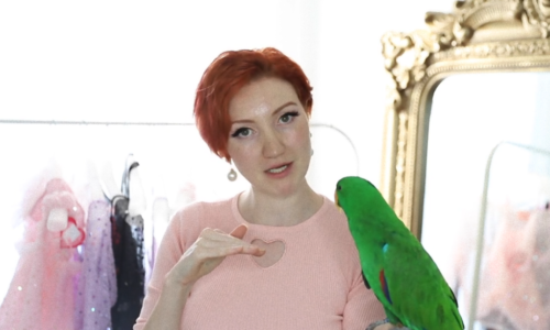 YouTuberka, která svým followerům vnucovala očkování proti COVID-19, náhle zemřela na lymfocytární myokarditidu