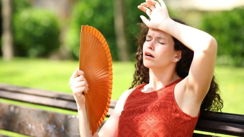 Blíží se spalující vedra. Teploty v Česku mohou vystoupat až na 39 °C, varují experti Blíží se spalující vedra. Teploty v Česku mohou vystoupat až na 39 °C, varují experti
