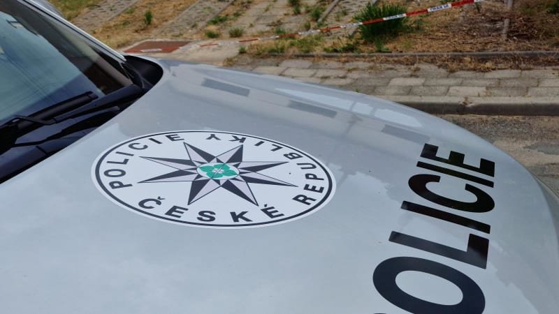 Muž se snažil vyhnout vězení „kouzlem“. Před policisty se schovával pod postelí Muž se snažil vyhnout vězení „kouzlem“. Před policisty se schovával pod postelí