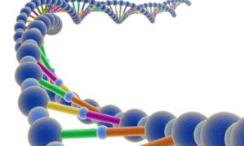 Vedci dokázali existenciu genetickej pamäte