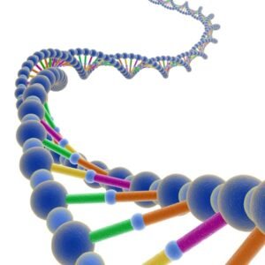 Vedci dokázali existenciu genetickej pamäte Vedci dokázali existenciu genetickej pamäte