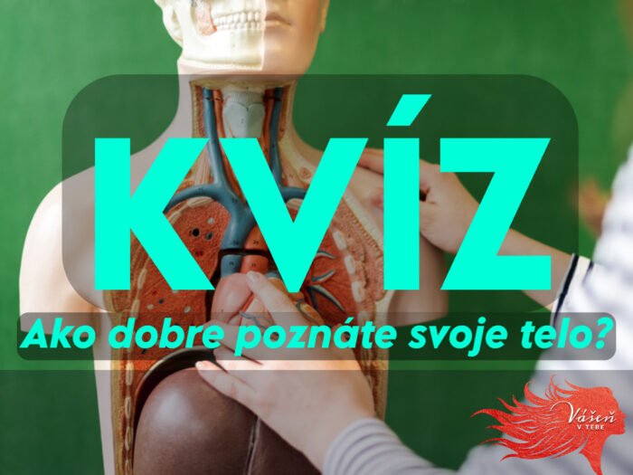 Kvíz – Ako dobre poznáte svoje telo? 25/25 len pre géniov Kvíz – Ako dobre poznáte svoje telo? 25/25 len pre géniov