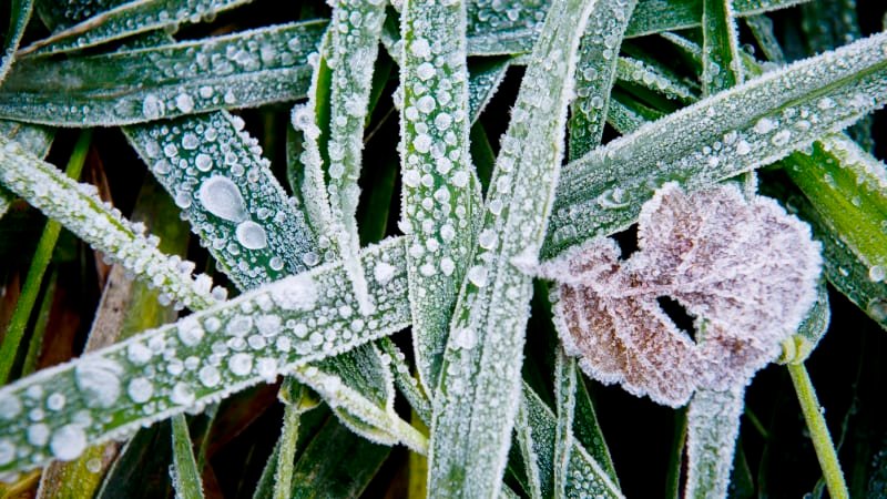 RADAR: Příští týden přinese déšť a velké ochlazení. Objeví se i přízemní mrazíky