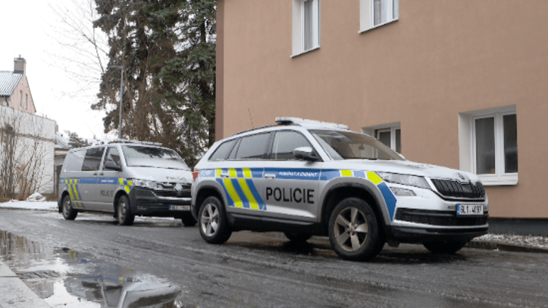 Družku zavraždil před dětmi nožem a sekáčkem. Muž z Nového Boru se k hrůznému činu přiznal Družku zavraždil před dětmi nožem a sekáčkem. Muž z Nového Boru se k hrůznému činu přiznal
