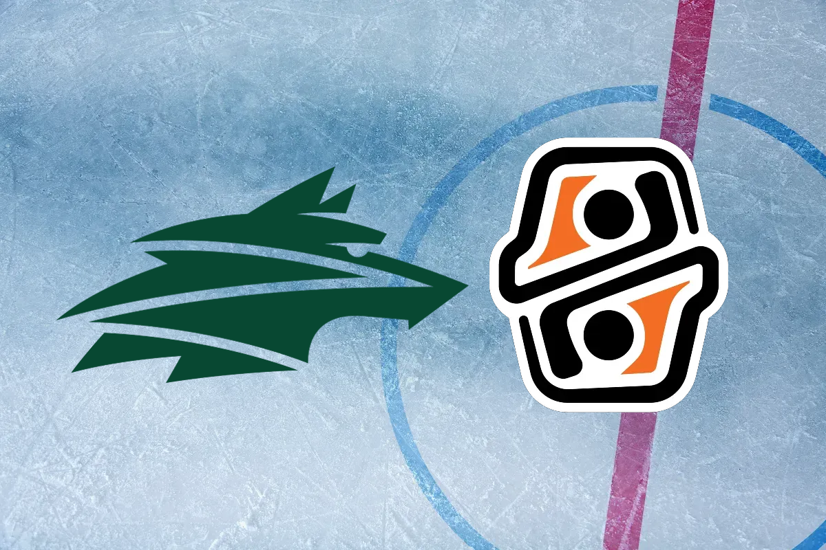 ONLINE Vlci Žilina – HC Košice