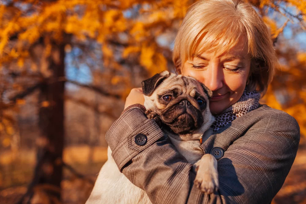 10 plemien psov pre seniorov – ktoré sú vhodné? 10 plemien psov pre seniorov – ktoré sú vhodné?