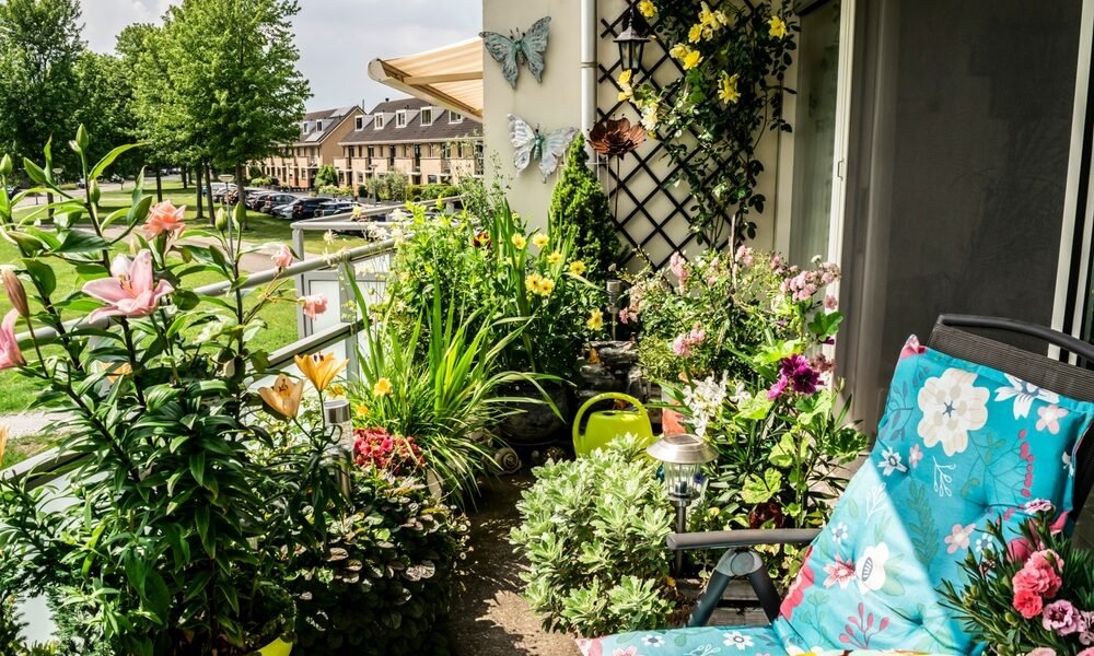 Na jeseň kvitnúce kríky. Skrášlite svoju záhradu a balkón