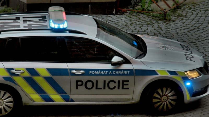 Policie našla pohřešovaného seniora z Chebska. Ztratil se při houbaření
