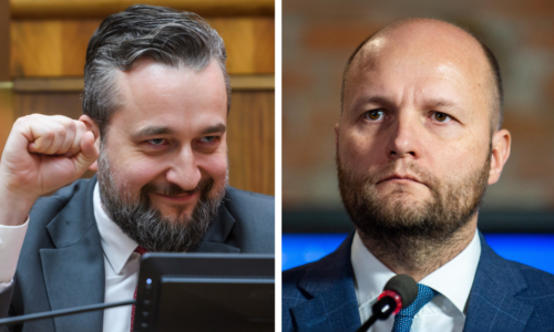 Naď vs. Blaha: Exminister žiadal od europoslanca odškodné 100-tisíc eur. Súd žalobu zamietol
