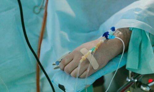 Pupočníkovú krv podali doteraz 39 slovenským pacientom. Nová metóda rastie na popularite