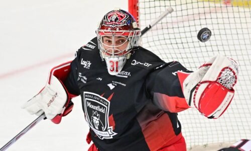 Stanislav Škorvánek si udržal čisté konto. Pavol Skalický rozhodol o výhre Mladej Boleslavi
