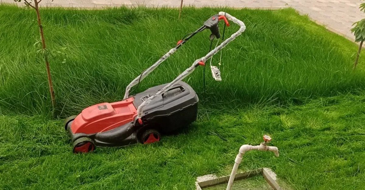 Kedy naposledy kosíte trávnik pred zimou? Jediná chyba môže zničiť váš trávnik, urobte to preto v tento deň Kedy naposledy kosíte trávnik pred zimou? Jediná chyba môže zničiť váš trávnik, urobte to preto v tento deň