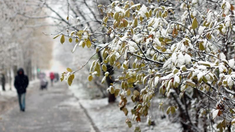 Sníh v Česku bude. Nová předpověď slibuje bílou zimu, objasnila démonizovaný jev La Niña Sníh v Česku bude. Nová předpověď slibuje bílou zimu, objasnila démonizovaný jev La Niña