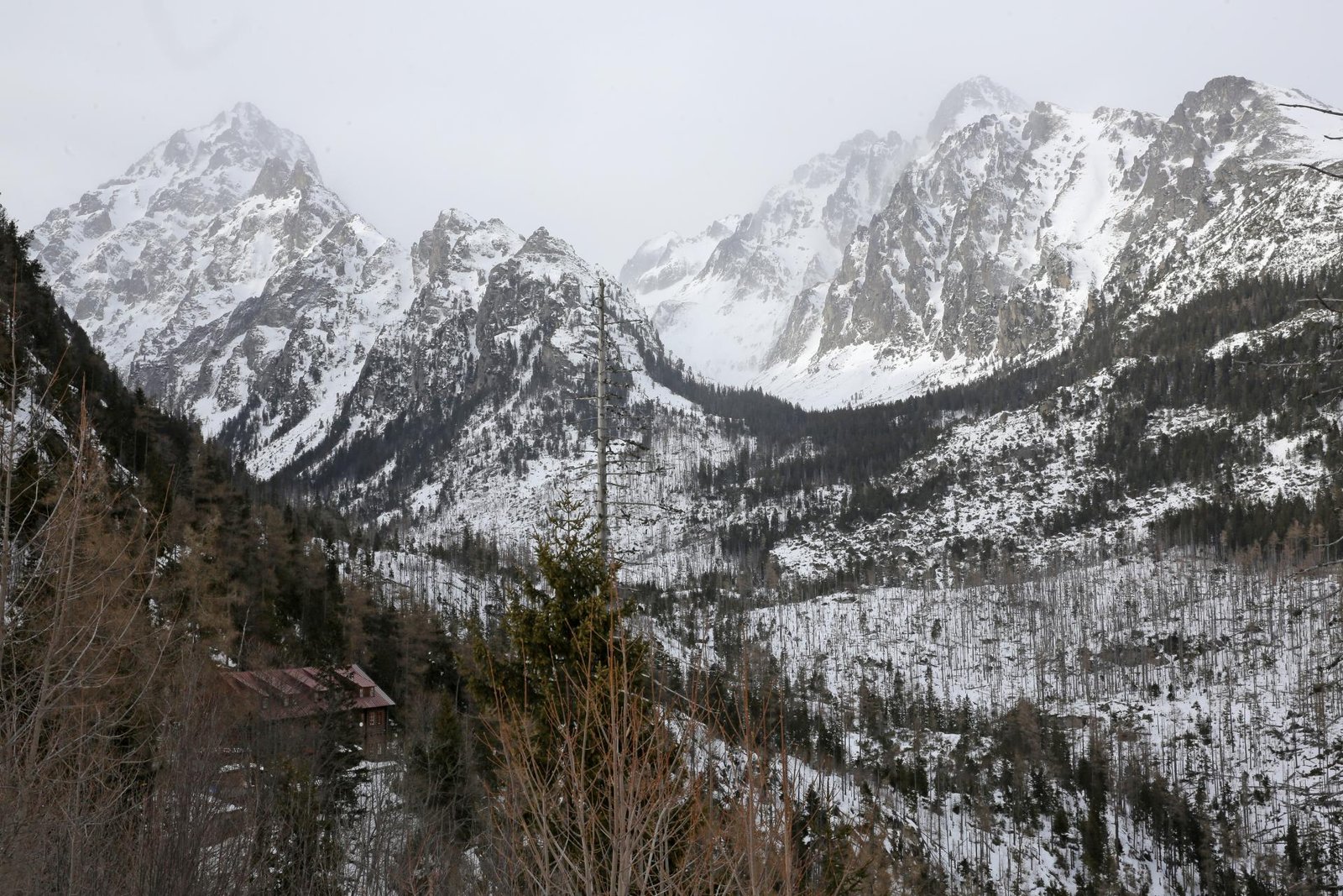 Vysoké Tatry chcú poraziť drahé bývanie nájomnými bytmi. V ceste im stojí málo pozemkov aj zlé zákony
