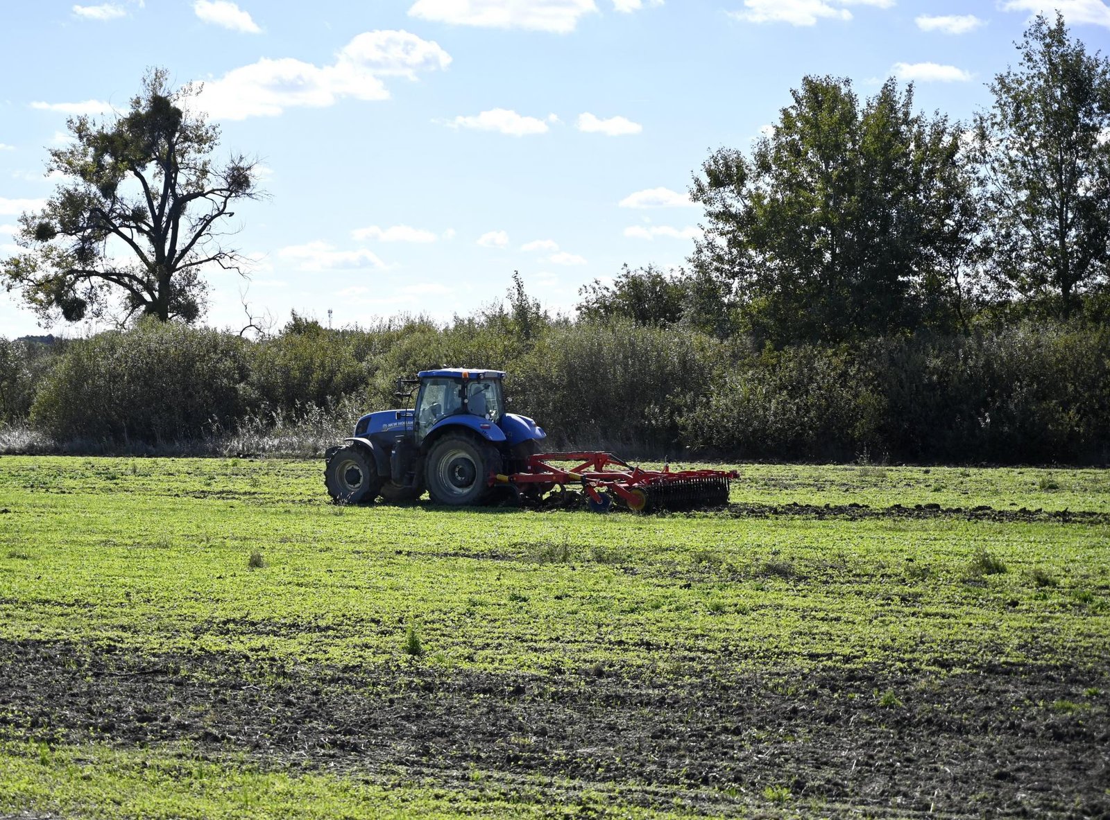 Rekordné zisky slovenskí farmári už nezopakovali. Výsledkom je multimiliónový pád Rekordné zisky slovenskí farmári už nezopakovali. Výsledkom je multimiliónový pád
