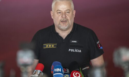 Policajti postupovali použitím tasera v okrese Žilina správne, myslí si Solák