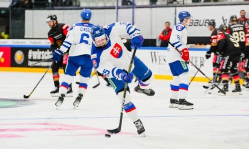 O jedného Slováka v českej extralige menej. Banskú Bystricu posilní reprezentačný obranca