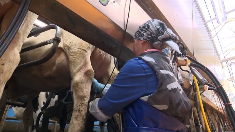Kdo může za zdražování mléka? Obchodníci se kvůli tomu hádají s potravináři, ekonomové se diví Kdo může za zdražování mléka? Obchodníci se kvůli tomu hádají s potravináři, ekonomové se diví