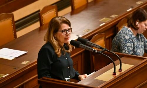 Energy drinky jsou svinstvo, hájí zákaz Zajíčková. Poukazuje na obezitu i deprese u dětí