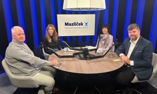 Videopodcast: Vaše tradice, moje trápení: Proč Vánoce bez živého kapra mohou být ohleduplnější