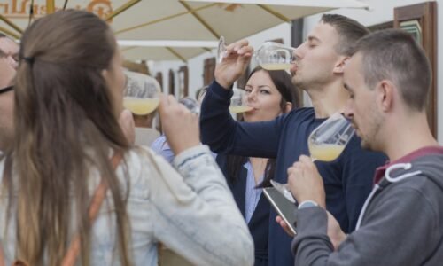Štvrtina burčiakov neprešla kontrolou. Pri kontrole sa v roku 2024 zistilo 25 percent porušenosti legislatívy