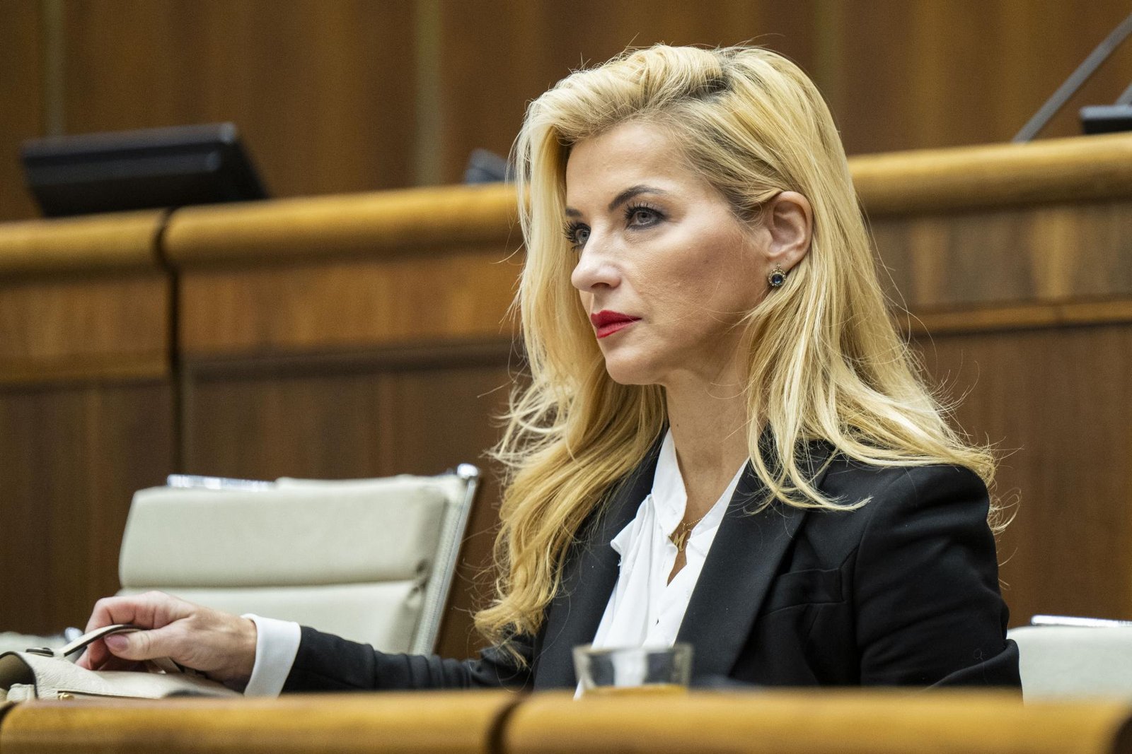 SaS podáva podnet na GP pre podozrenie zo zámernej snahy znefunkčniť Fond na podporu umenia SaS podáva podnet na GP pre podozrenie zo zámernej snahy znefunkčniť Fond na podporu umenia