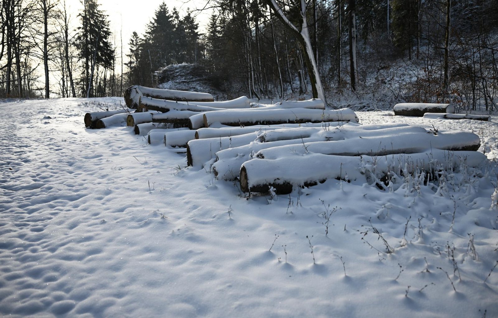 Tohtoročná jeseň priniesla Slovensku extrémne málo snehu na horách, zhodli sa klimatológovia Tohtoročná jeseň priniesla Slovensku extrémne málo snehu na horách, zhodli sa klimatológovia