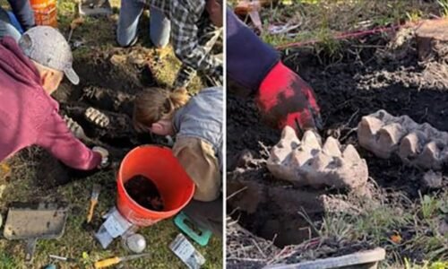 Nevšední objev: Muž našel na zahradě kosti pravěkého mastodonta, vědci jsou nadšení