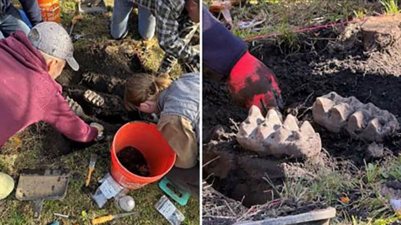 Nevšední objev: Muž našel na zahradě kosti pravěkého mastodonta, vědci jsou nadšení Nevšední objev: Muž našel na zahradě kosti pravěkého mastodonta, vědci jsou nadšení