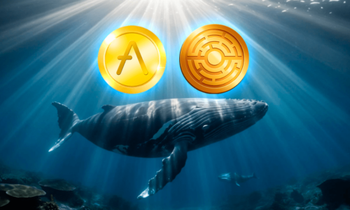 AAVE dominuje s 68% podporou, kým nováčik Minotaurus láka investorov