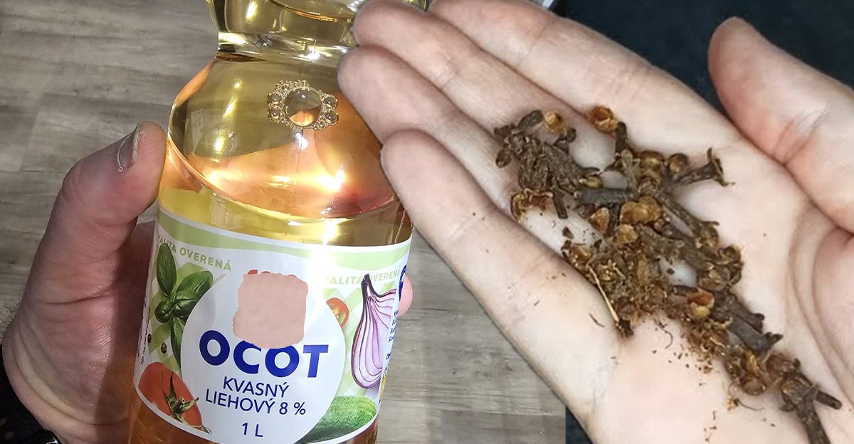 Zmiešať KLINČEKY a OCOT bola tá najlepšia vec. Konečne som sa nadobro zbavila otravného hmyzu Zmiešať KLINČEKY a OCOT bola tá najlepšia vec. Konečne som sa nadobro zbavila otravného hmyzu