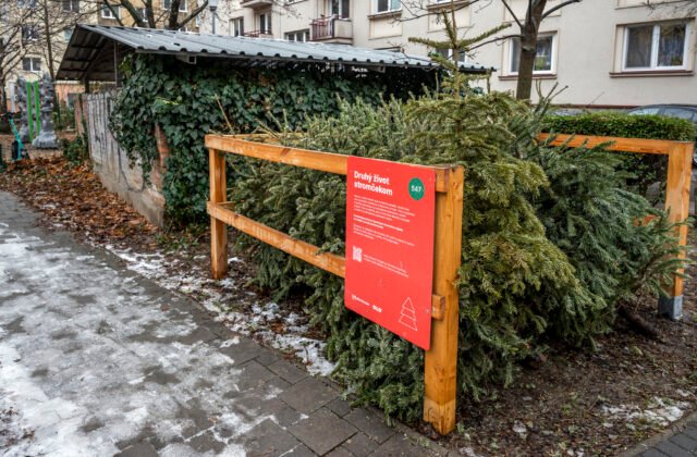 270956_677bc035bea3a207841714-640x420.jpg Bratislava od utorka začína so zberom vianočných stromčekov, odvážať ich budú až do 14. februára