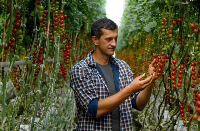 296001_tesco-dodvatelia-m-640x420.jpg Do boja proti plytvaniu potravinami sa zapája aj 13 strategických dodávateľov Tesca v strednej Európe