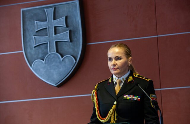 Poslanci sa na výbore pre kultúru a médiá pýtali na prevoz busty Cecilie Gonzagy, prítomná bola aj Maškarová