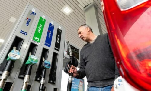 Některá paliva mohou autu škodit, jiná naopak pomoci. Přečtěte si, jak je rozpoznat